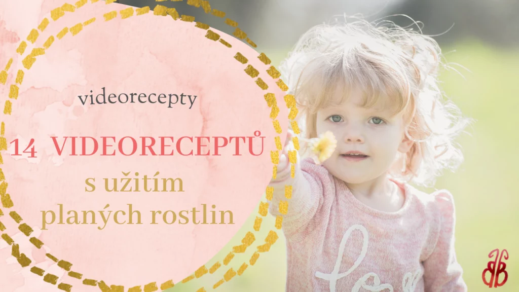 Kopie návrhu cream and green herbs wellness & self care youtube thumbnail
